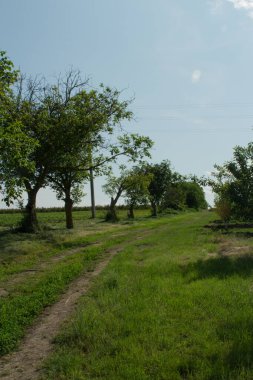 Arka planda bir nehir olan güzel bir manzara.