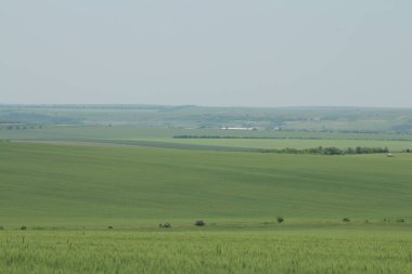 bulutlu gökyüzü mavi ve yeşil alan.