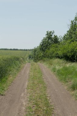 Yolu olan kırsal alan