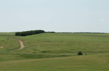 Tarlada yolu olan bir manzara