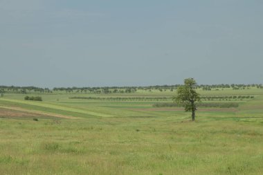Doğanın güzel manzarası
