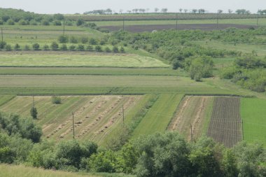 tarımsal alan, kırsal alan
