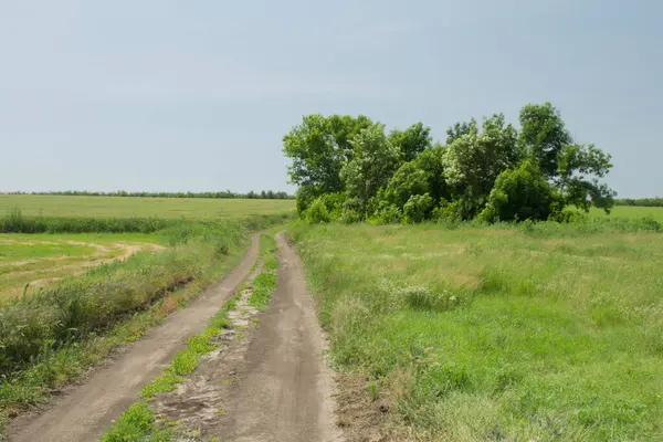 Kırsal bölgedeki toprak yol.