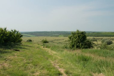Çimenleri ve mavi gökyüzü olan güzel bir arazi.