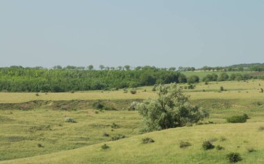 Yazın bozkırın manzarası