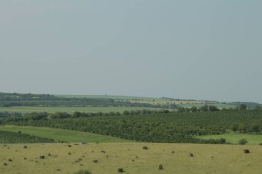 Kırsal alanda yeşil alan