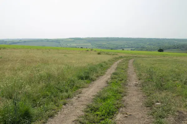 Yol ve yeşil tarlaları olan güzel bir manzara