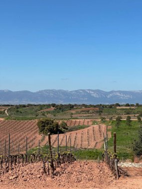 Kırsal kesimde güzel manzara