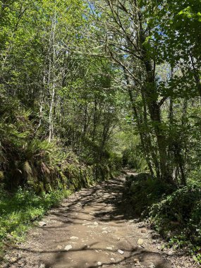 Dağlardaki güzel dağ manzarası