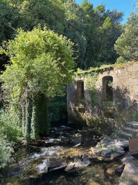 Parktaki nehrin güzel manzarası
