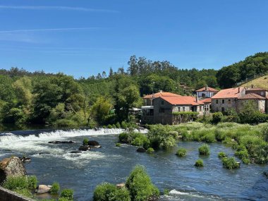 Parktaki güzel bir nehir manzarası.