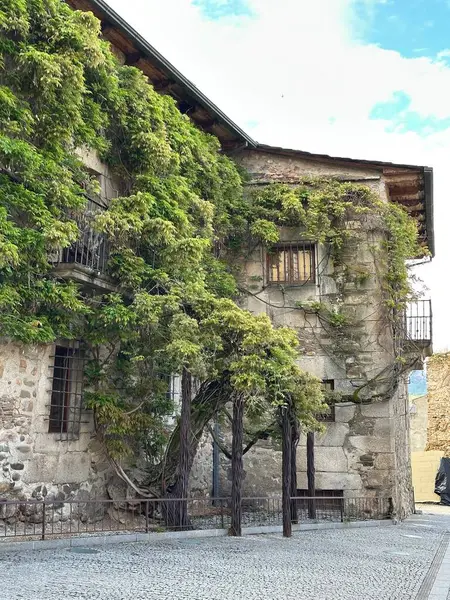 Eski şehrin manzarası.