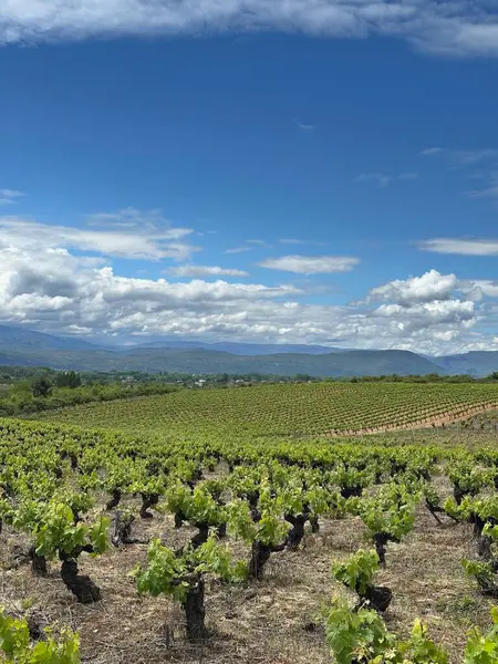 Kırsal kesimde güzel manzara