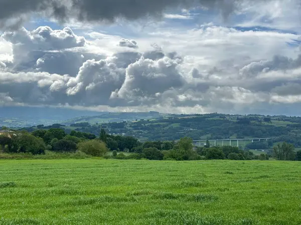 Bulutları ve mavi gökyüzü olan yeşil manzara