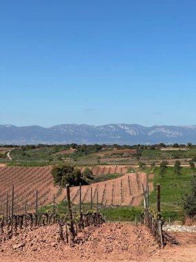 İsrail 'in kuzeyindeki Akdeniz köyü ve dağların manzarası.