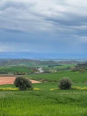 Nehir ve mavi gökyüzü olan güzel bir manzara.