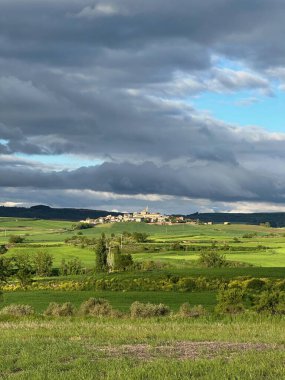Bulutlu bir gökyüzünün altındaki yeşil buğday tarlasının dikey görüntüsü