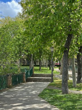 Parkın güzel manzarası