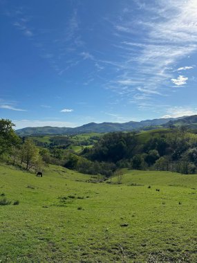 Güzel yeşil manzara mavi gökyüzü ile