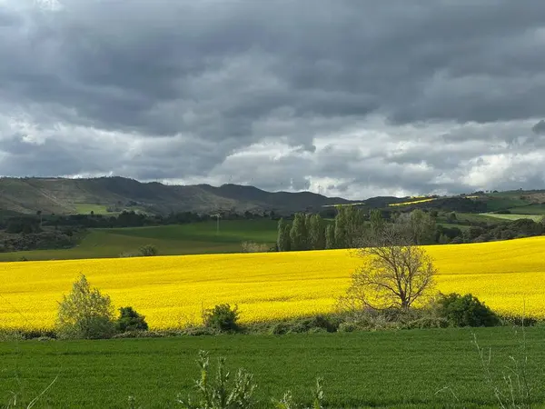 Bulutlu bir gökyüzü manzarası