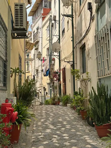 İspanya 'nın güzel manzarası