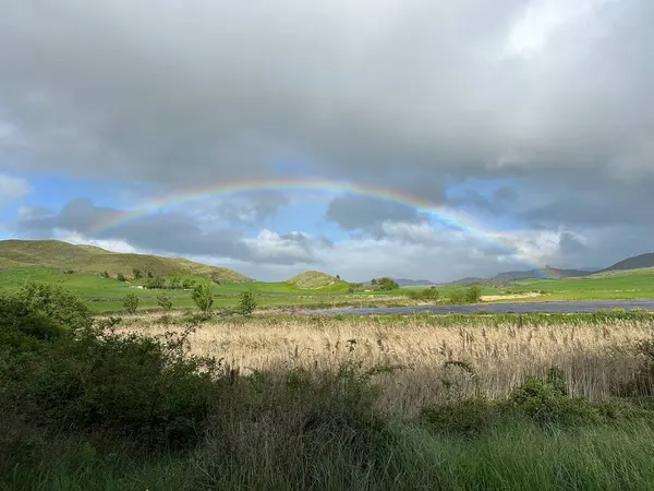 Dağlarda bir nehir manzarası