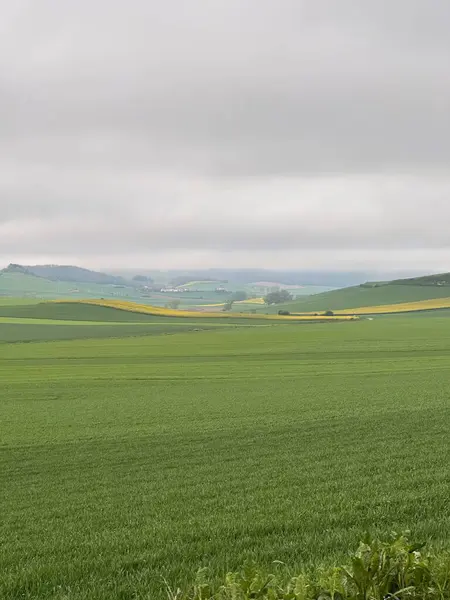 Kırsal manzarası çok güzel.