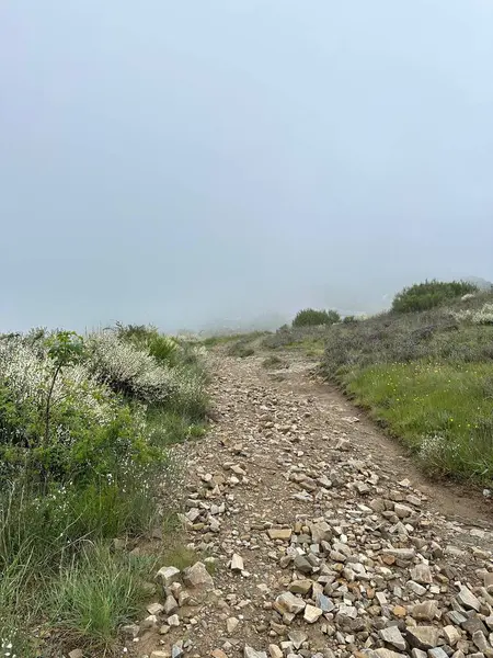 Bask ülkesinin dağlarında yol