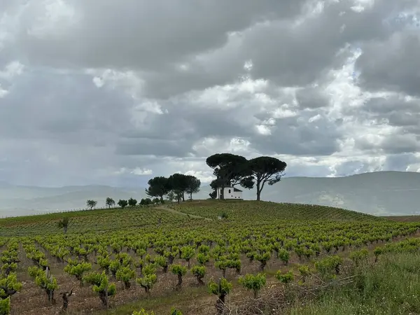 Kırsal manzarası çok güzel.