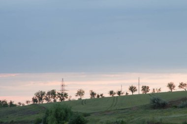 Ağacı ve tarlası olan güzel bir manzara.
