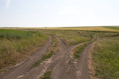 Yazın buğday tarlalarında toprak yol