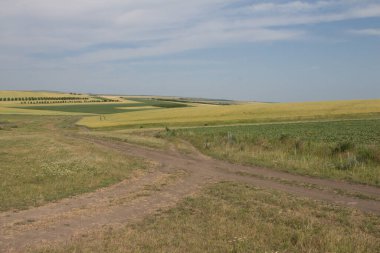 Buğdaylı kırsal yol