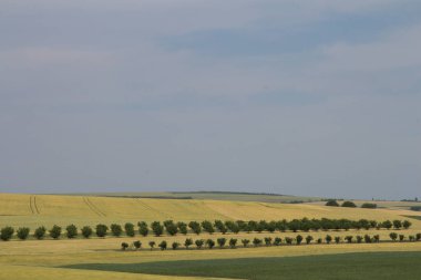 Doğanın güzel manzarası