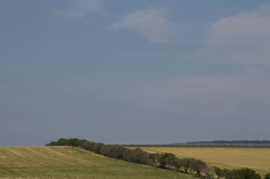 Ağaçlarla ve mavi gökyüzüyle güzel bir manzara.