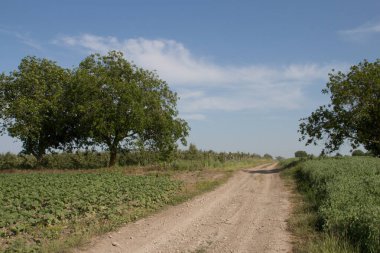 yol alan aracılığıyla