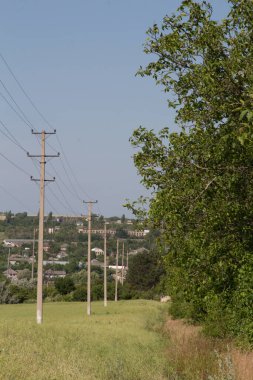 Kırsal kesimdeki bir yolda elektrik hatları.