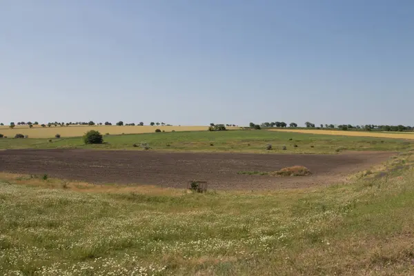 Kırsal kesimde tarımsal alan