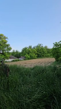 Kırsal kesimde güzel bir orman manzarası.