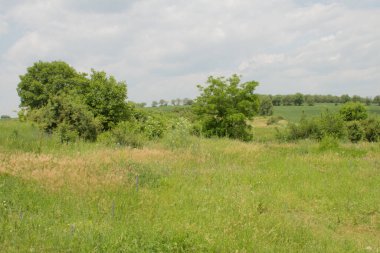 yeşil alan ve mavi gökyüzü bulutlu