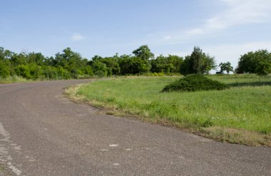 Ormandaki toprak yol