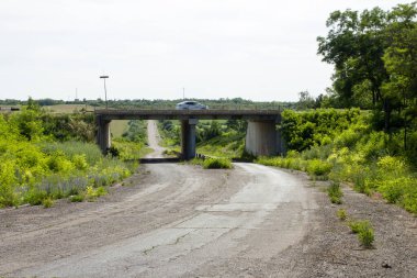 Ormanda metal köprüsü olan bir yol.