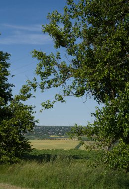 Güzel kırsal manzara, yaz arkaplanı.