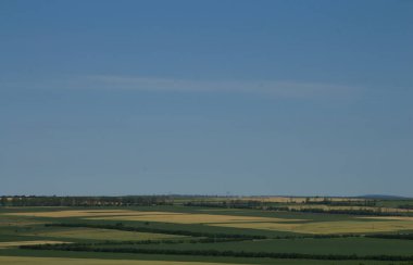 Yaz manzarası, mavi gökyüzü, yeşil tarlalar, buğday, buğday tarlası
