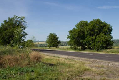 Kırsalda yol, yaz manzarası