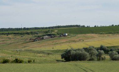 Kırsaldaki tarlaya bak.