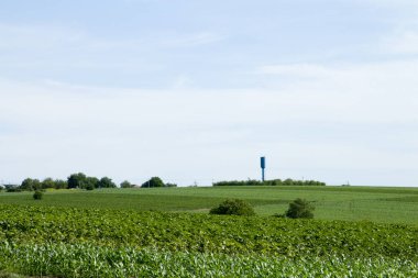 Fransa 'nın güneyindeki Fransız bölgesindeki gölün yakınındaki Alman köyünün üzüm bağlarından manzara..