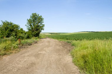 Toprak yolu olan kırsal alan