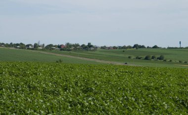Doğanın güzel manzarası