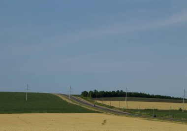 Rüzgar türbinleri tarlada