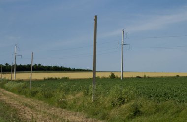 Kablolu ve kablolu elektrik direği. Kırsalın ortasında yüksek gerilim hattı var..